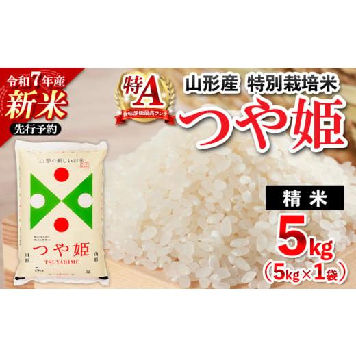 ふるさと納税 米 つや姫 山形県 山形市 12月発送 先行予約 令和7年産 新米 山形産 特別栽培米 つや姫(白米) 5kg FZ25-081 12月発送