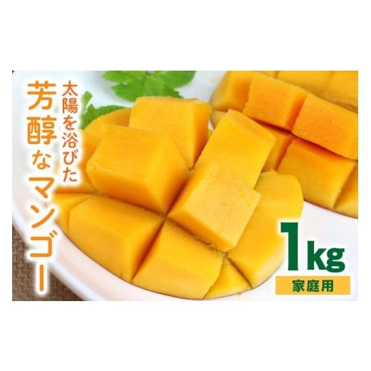 ふるさと納税 マンゴー 沖縄県 糸満市 先行予約 2026年 発送 沖縄の太陽を浴びた芳醇なマンゴー 1kg ( ご家庭用 ) 沖縄県産 マンゴー アップルマンゴー アー…