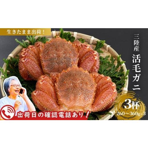 ふるさと納税 カニ 毛ガニ 岩手県 釜石市 fc-40-016 出荷前にお電話します 活毛ガニ 3杯 (260g〜360g×3) 三陸産 令和8年2月上旬〜4月頃お届け ヤマコー片桐…