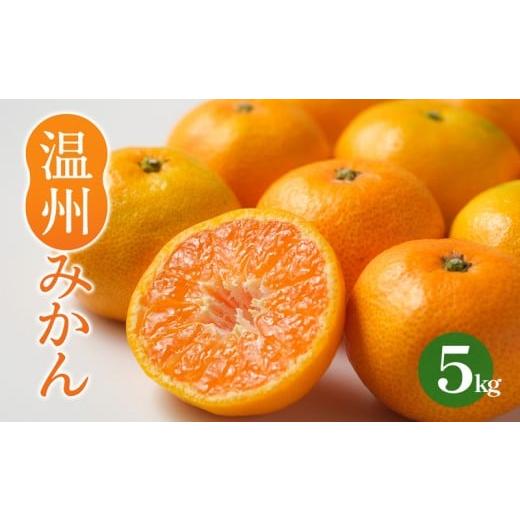 ふるさと納税 果物類 みかん 愛媛県 松山市 温州みかん 約5kg 2025年11月から順次発送 えひめみかん 愛媛みかん 温州みかん ミカン 柑橘 蜜柑 フルーツ くだも…