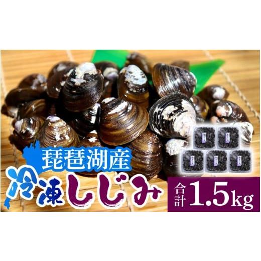 ふるさと納税 魚貝類 しじみ 滋賀県 大津市 滋賀県の琵琶湖で取れた蜆 300g×5 計1.5kg TT006 / しじみ シジミ しじみ汁 味噌汁 小分け 冷凍 大粒 天然 Lサ…