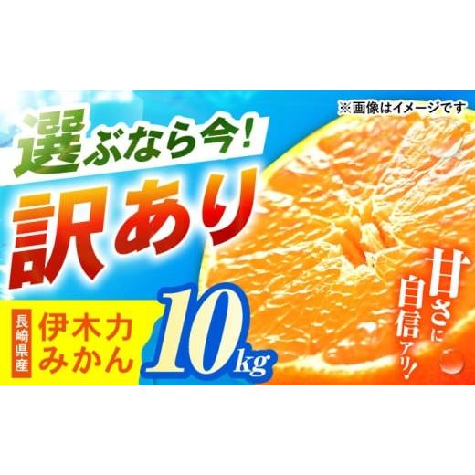 ふるさと納税 果物類 みかん 長崎県 諫早市 [レビューキャンペーン実施中] 訳あり 伊木力みかん (家庭用) 10kg / みかん ミカン 蜜柑 オレンジ mikan 柑橘 …