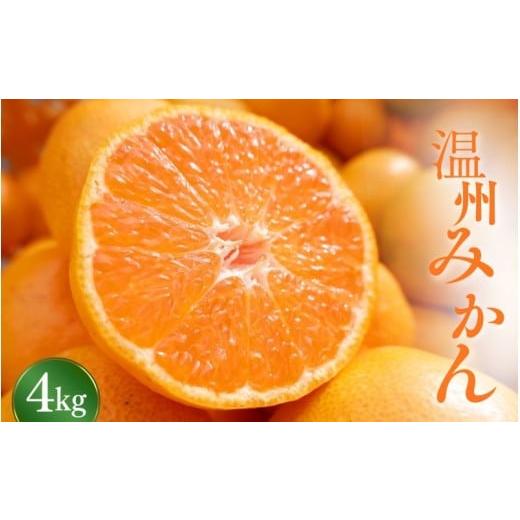 ふるさと納税 みかん・柑橘類 オレンジ 和歌山県 田辺市 先行予約 温州みかん 4kg A級(サイズ混合) 2025年11月上旬頃より順次発送 / 温州ミカン ミカン カ…