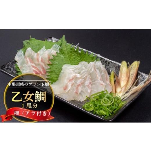 ふるさと納税 魚貝類 鯛 高知県 須崎市 真鯛 刺身 用 柵 アラ付き 1尾 セット 本場須崎のブランド 鯛 乙女鯛 新鮮 冷蔵 刺身 お刺し身 タイ 鯛 高級魚 鮮魚 海…