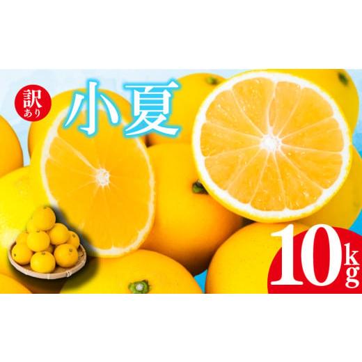 ふるさと納税 みかん・柑橘類 高知県 須崎市 2026年4月より発送 訳あり 小夏 家庭用 10kg 高知県産 早期予約 柑橘 フルーツ 果物 みかん ミカン 蜜柑 こなつ …