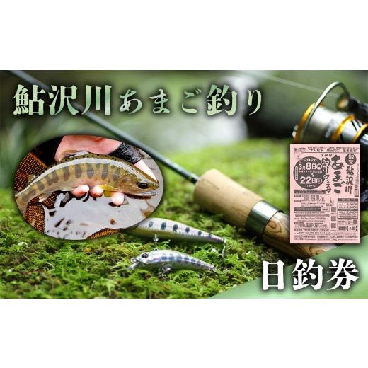 ふるさと納税 体験チケット 静岡県 小山町 鮎沢川あまご釣り「 日釣券 」 遊漁券 着日指定不可 │ 遊漁券 釣り 渓流釣り ルアー 静岡県 小山町 鮎沢川