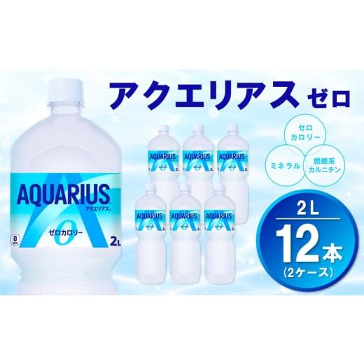ふるさと納税 水・ミネラルウォーター 1L〜2L 佐賀県 基山町 アクエリアス ゼロ PET 2L (2ケース) 計12本 コカコーラ アクエリ スポーツ飲料 夏バテ予防 水分…