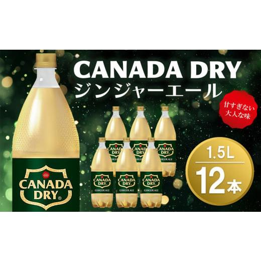 ふるさと納税 炭酸飲料 佐賀県 基山町 カナダドライ ジンジャーエール 1.5LPET (2ケース) 計12本 コカコーラ ジンジャー 炭酸飲料 炭酸 1.5リットル ペットボ…