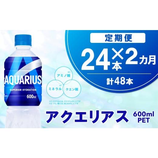 ふるさと納税 水・ミネラルウォーター 500mL〜999mL 佐賀県 基山町 2カ月定期便 アクエリアス 600mlPET×24本(1ケース) コカコーラ 熱中症対策 スポーツ飲料 …