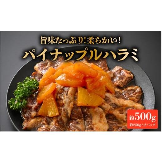 ふるさと納税 牛肉 ホルモン 福井県 福井市 パイナップルハラミ(約250g×2パック 計約500g) A-066045 / 牛 牛肉 ハラミ 特製ダレ パイナップル 柔か 漬け…