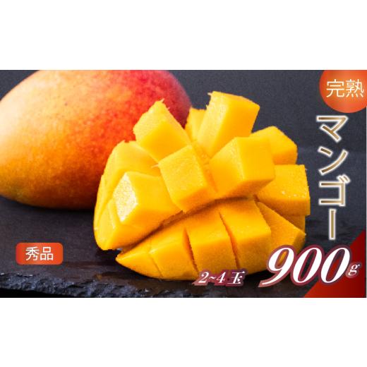 ふるさと納税 マンゴー 高知県 須崎市 早期予約 [2026年5月中旬から発送]マンゴー 秀品 2~4玉(L) 900g以上 果物 完熟 フルーツ 南国 完熟マンゴー 期間限定…
