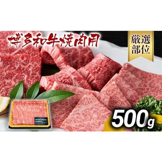 ふるさと納税 牛肉 焼肉・バーベキュー 福岡県 大木町 先行予約 博多和牛焼肉用 500g 黒毛和牛 お取り寄せグルメ お取り寄せ お土産 九州 福岡土産 取り寄せ …