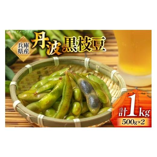 ふるさと納税 豆類 枝豆 兵庫県 三田市 冷凍 兵庫県産 丹波黒 枝豆 500g×2 計1kg 梵天 兵庫県 三田市 3d28bdn950000 黒豆 えだまめ くろえだまめ 丹波 冷凍枝…
