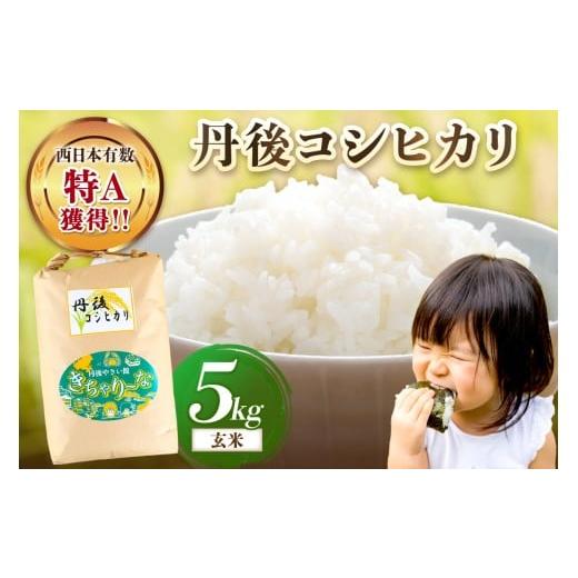 ふるさと納税 玄米 京都府 京丹後市 直売所直送「令和7年産 京丹後市産 コシヒカリ」 玄米5kg JA00070 通常発送