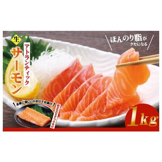 ふるさと納税 魚貝類 サーモン 大阪府 泉佐野市 生食可 アトランティックサーモン 合計1kg 小分け 柵切り 刺身 魚介 海鮮