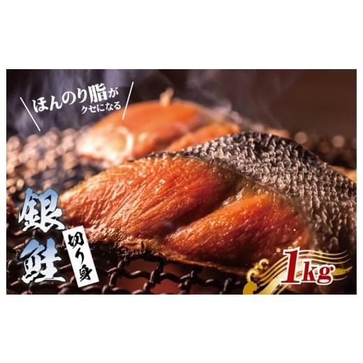ふるさと納税 魚貝類 鮭 大阪府 泉佐野市 漁師が目利きした銀鮭 切り身 合計1kg サイズ不揃い 海鮮 魚介 さけ しゃけ お弁当 簡単調理