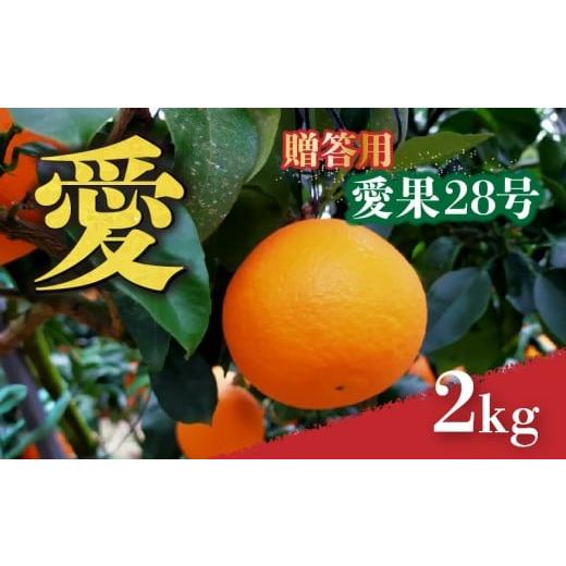ふるさと納税 果物類 みかん 愛媛県 松山市 愛媛 みかん 愛果28号 贈答用 2kg あいか 先行予約 2025年12月上旬から発送 | 紅まどんな と同品種 柑橘 みかん ま…