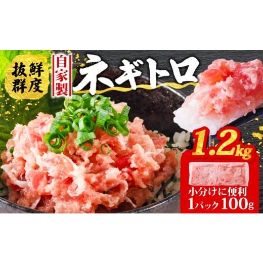 ふるさと納税 マグロ 愛媛県 松山市 ネギトロ 1.2kg ( 100g×12パック ) | まぐろ 鮪 ネギトロ ねぎとろ まぐろたたき まぐろのたたき マグロたたき ネギとろ …