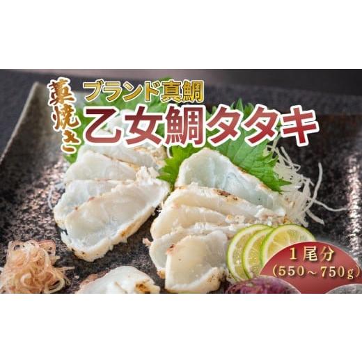 ふるさと納税 魚貝類 鯛 高知県 須崎市 真鯛 わら焼き タタキ 1尾分(550〜750g) 産地直送 小島水産 ブランド 乙女鯛 鯛 タイ 真鯛 高知県 須崎市 KS038 550g…