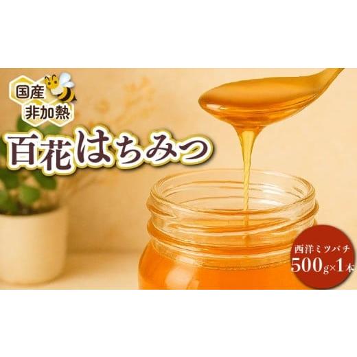 ふるさと納税 加工品等 はちみつ 静岡県 牧之原市 蜂蜜 はちみつ 百花蜜 西洋ミツバチ 500g×1本 国産 大上養蜂 西洋ミツバチ 純粋 高糖度 保存食 母の日 父の…