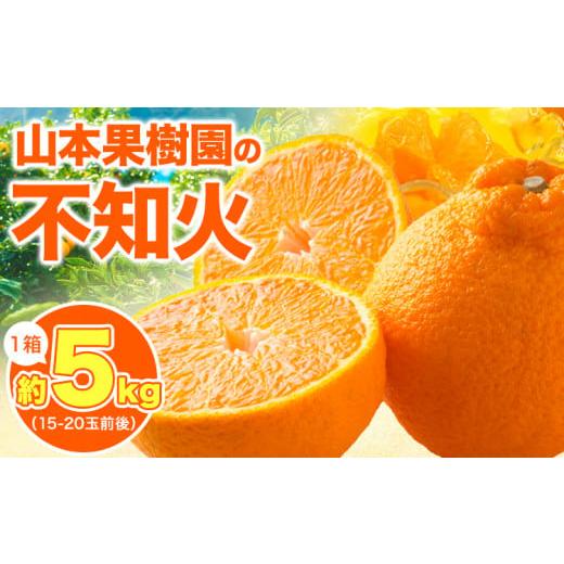 ふるさと納税 みかん・柑橘類 熊本県 氷川町 不知火 約5kg 1箱 15-20玉前後 山本果樹園[2月末-5月末頃出荷予定]しらぬい 熊本県 氷川町 柑橘