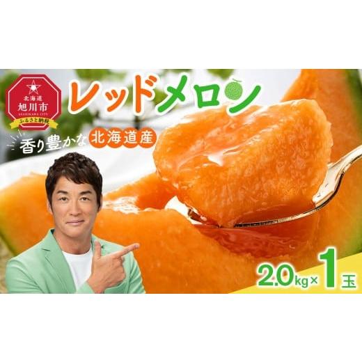 ふるさと納税 メロン メロン赤肉 北海道 旭川市 26年発送先行予約 香り豊かな 北海道レッドメロン 2kg×1玉_05412