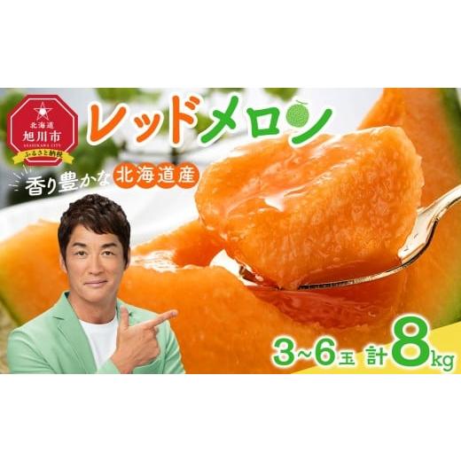 ふるさと納税 メロン メロン赤肉 北海道 旭川市 26年発送先行予約 香り豊かな 北海道レッドメロン 8kg(3玉〜6玉)(2026年7月下旬から発送開始予定) 果物 く…