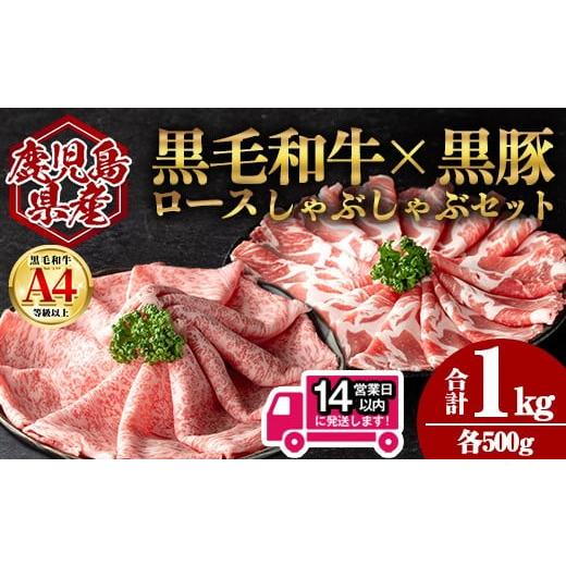 ふるさと納税 豚肉 セット 鹿児島県 曽於市 14営業日以内発送 鹿児島県産黒毛和牛ロース×黒豚肩ロースしゃぶしゃぶセット (合計1kg・各500g) 国産 牛肉 豚肉…