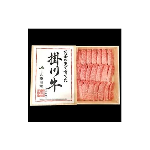 ふるさと納税 牛肉 焼肉・バーベキュー 静岡県 掛川市 掛川牛(黒毛和種)カルビ焼肉用 500g(冷凍) 1670601