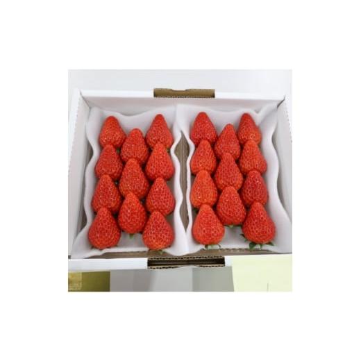 ふるさと納税 いちご 静岡県 掛川市 紅ほっぺ・きらぴ香食べ比べセット(各4パック 計8パック) 1676919