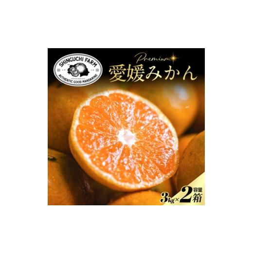 ふるさと納税 果物類 みかん 愛媛県 八幡浜市 老舗農家が見極めたプレミアム 小玉 愛媛みかん3kg×2箱 愛媛県川上産 D70-103 1677113