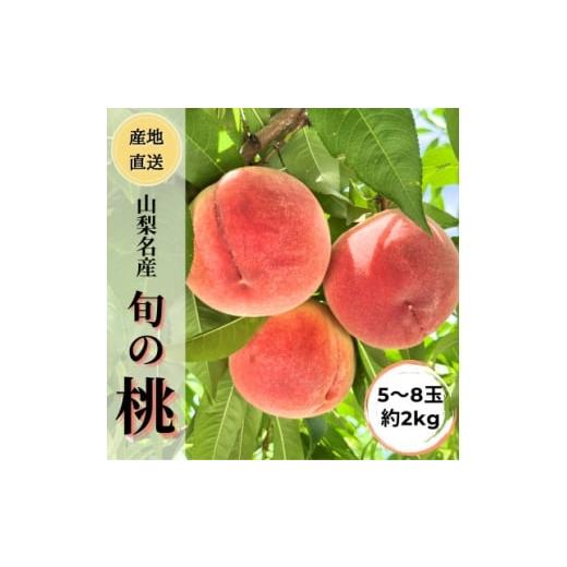 ふるさと納税 もも 山梨県 山梨市 2026年発送 産地直送 桃の里よりお届け 旬の桃 5〜8玉(約2kg) 1678180