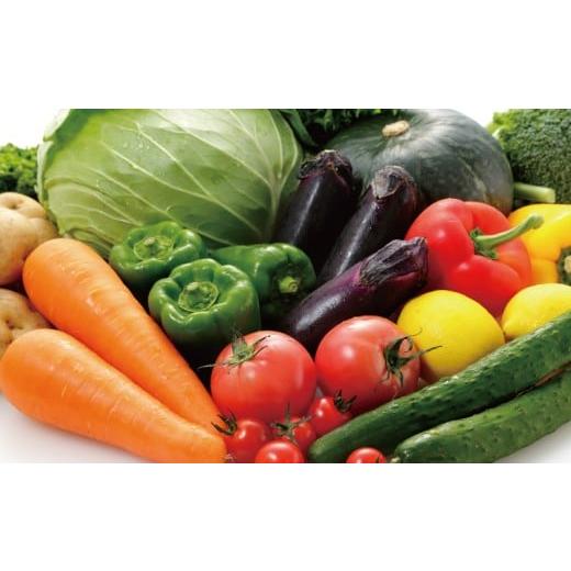 ふるさと納税 セット・詰合せ 神奈川県 藤沢市 朝採れ 新鮮 野菜 セット 種類おまかせ 旬 やさい yasai ヤサイ 野菜セット やさいセット 旬の野菜 お野菜 栽培…