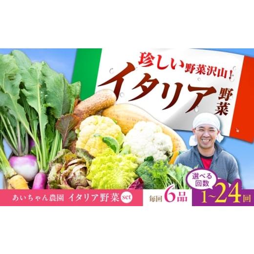 ふるさと納税 セット・詰合せ 佐賀県 吉野ヶ里町 6品/1回 農薬に頼らない カラダにやさしい「イタリア野菜」セット(ショート) 吉野ヶ里あいちゃん農園 FAA…