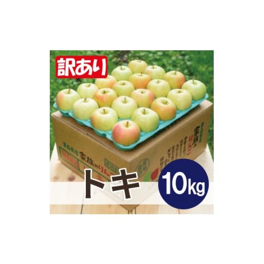 ふるさと納税 りんご 青森県 大鰐町 12月より順次発送 平均糖度13度以上 トキ 約10kg 訳あり 1667905