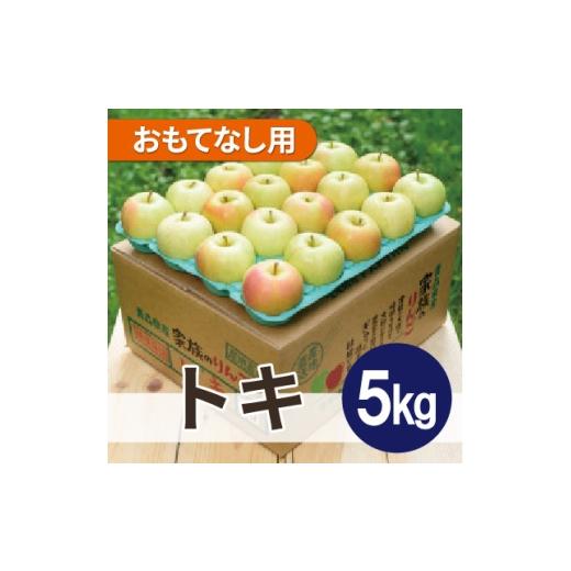 ふるさと納税 りんご 青森県 大鰐町 12月より順次発送 平均糖度13度以上 トキ 約5kg おもてなし用 1667906
