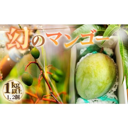 ふるさと納税 マンゴー 愛知県 阿久比町 幻のマンゴー 1kg以上 / マンゴー 大型 果物 フルーツ 糖度が高い 繊維質が少ない 濃厚 甘み 完熟 人気の高い品種 …