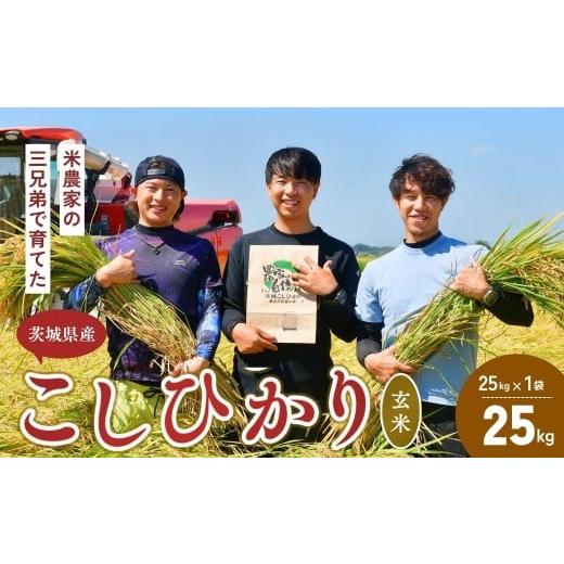 ふるさと納税 米 コシヒカリ 茨城県 龍ケ崎市 令和7年度新米 龍ケ崎の美味しい コシヒカリ 玄米 25kg(25kg×1袋) ? こしひかり お米 米 こめ 白米 玄米 新米 …