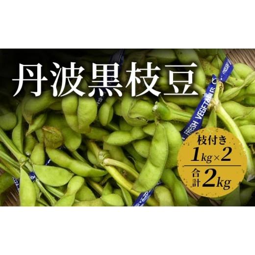 ふるさと納税 豆類 枝豆 京都府 南丹市   丹波黒枝豆 1kg(枝付き)×2 | 野菜 えだまめ えだ豆 おつまみ 京都府 南丹市