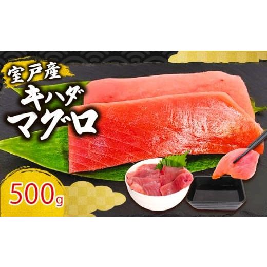 ふるさと納税 マグロ 高知県 室戸市 天然 キハダマグロ 500g 赤身 マグロ 鮪 刺身用 柵 海鮮 魚介 魚 海鮮丼 手巻き寿司 寿司 高知県 室戸市 500g | 5,000円