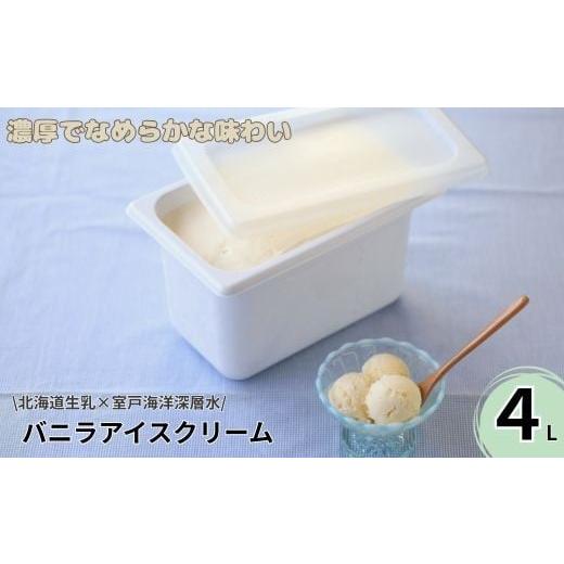 ふるさと納税 菓子 アイス 高知県 室戸市 アイス アイスクリーム バニラ スイーツ 業務用 大容量 4L 北海道産 生乳 使用 なめらか 濃厚 甘さ控えめ ミルク 風…