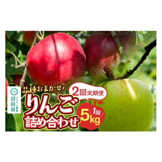 ふるさと納税 りんご 群馬県 沼田市 [11月上旬・11月下旬発送]定期便 品種おまかせ りんご詰め合わせ 1種5kg×2回 真田りんご園