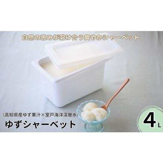 ふるさと納税 アイス・ヨーグルト シャーベット 高知県 室戸市 アイス アイスクリーム シャーベット ゆず ユズ 柚子 スイーツ 冷凍 デザート 4L 大容量 濃厚 …