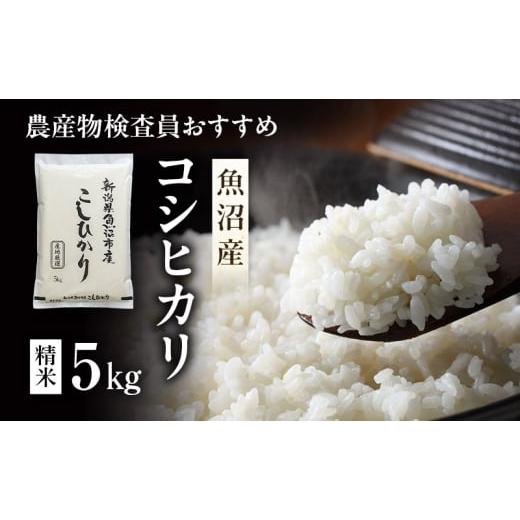 ふるさと納税 米 コシヒカリ 新潟県 魚沼市   令和7年産 農産物検査員お奨め 魚沼産こしひかり(精米)5kg お米 コシヒカリ
