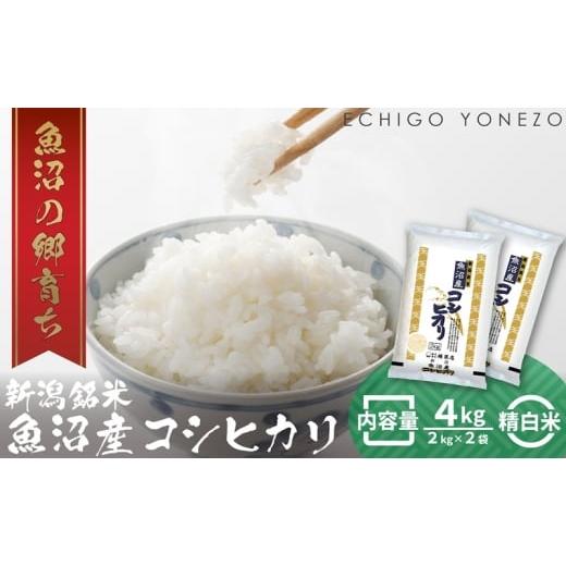 ふるさと納税 米 コシヒカリ 新潟県 魚沼市   令和7年産 魚沼産コシヒカリ(精米)4kg お米 白米 ご飯 ブランド米 銘柄米 おにぎり お弁当 和食 …