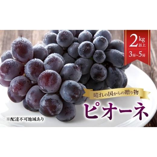 ふるさと納税 果物類 ぶどう 岡山県 里庄町 2026年先行予約 ぶどう 岡山県産 晴れの国からの 贈り物 ピオーネ 2kg以上(3房〜5房) [2026年8月中旬-9月中旬…