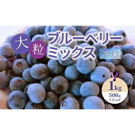 ふるさと納税 果物類 滋賀県 米原市 大粒ブルーベリーミックス(冷凍)1kg(500g×2パック)| ブルーベリー 果物 フルーツ 冷凍フルーツ ベリー類 No.5694-113…