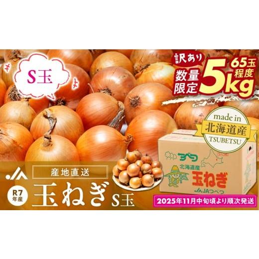 ふるさと納税 野菜類 玉ねぎ 北海道 津別町 訳あり 玉ねぎ S玉 5kg | 北海道津別町