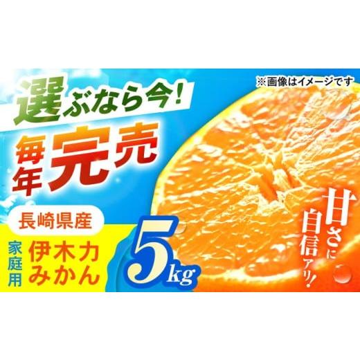 ふるさと納税 果物類 みかん 長崎県 諫早市 [レビューキャンペーン実施中]伊木力みかん (家庭用) 5kg / みかん ミカン 蜜柑 オレンジ フルーツ ふるーつ 果…