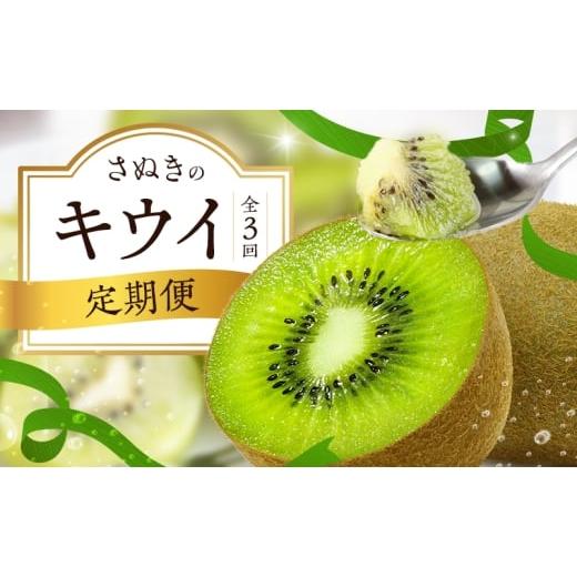 ふるさと納税 果物類 香川県 東かがわ市   さぬきのキウイ定期便(3回) さぬきゴールドキウイ さぬきキウイっこ 香緑キウイ